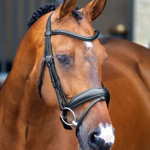 Velociti Lusso Dressage Flash Bridle