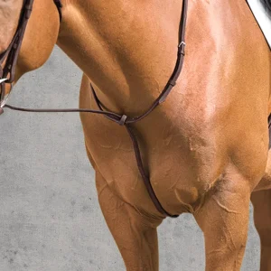 Vespucci Plain Raised Standing Martingale