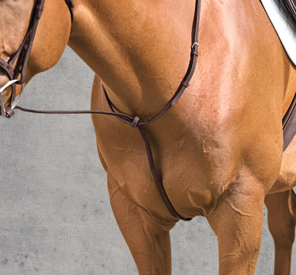 Vespucci Plain Raised Standing Martingale