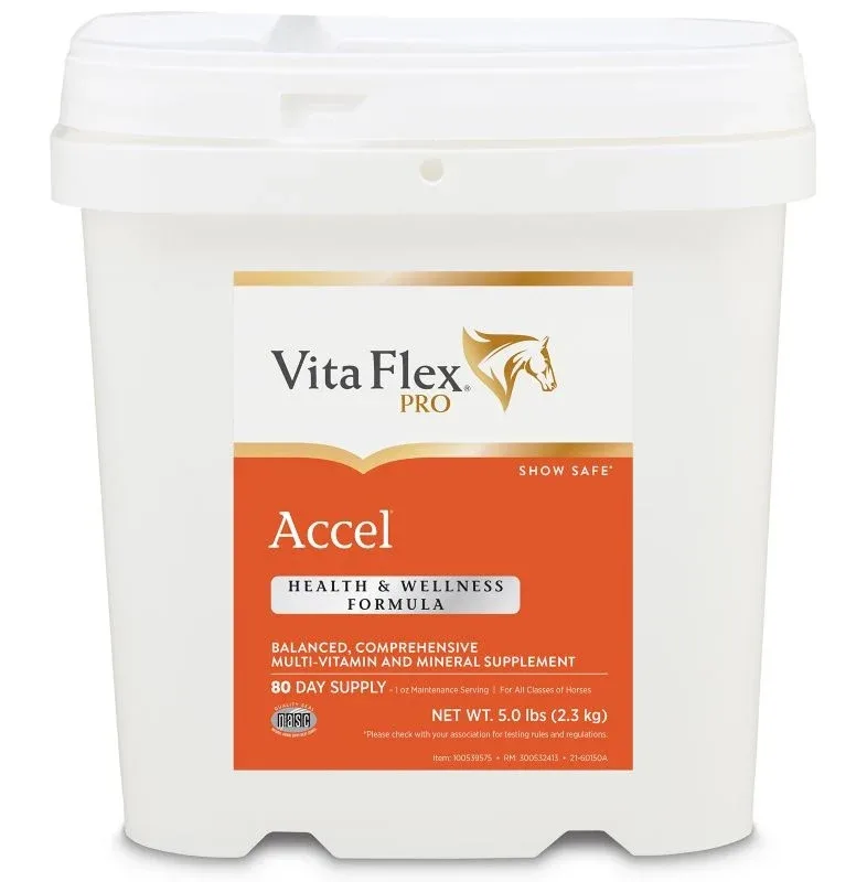 Vita Flex Pro Accel Health and Wellness - Image 2