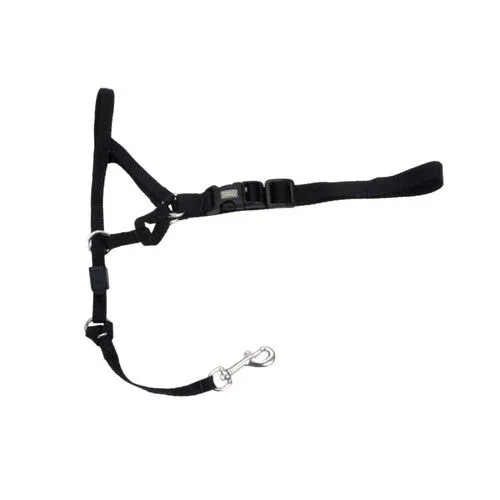 Walk 'n Train Dog Head Halter Black MD - Image 2