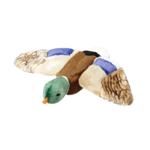 Wally Mallard