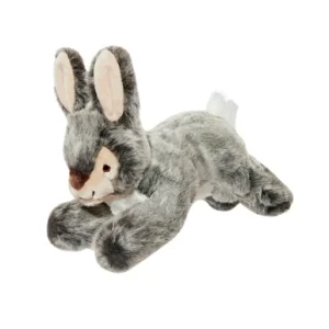 Walter Wabbit