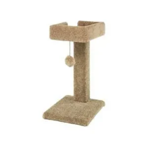 Ware Kitty Cactus 24" W/Toy {L-1}911173