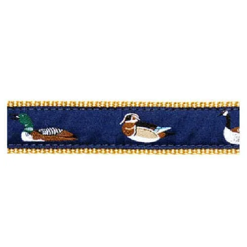 Waterfowl