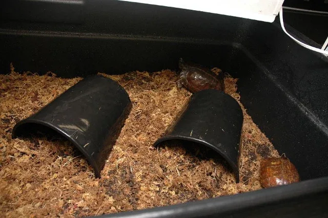 Waterland Tub Small Land Enclosure - Image 2