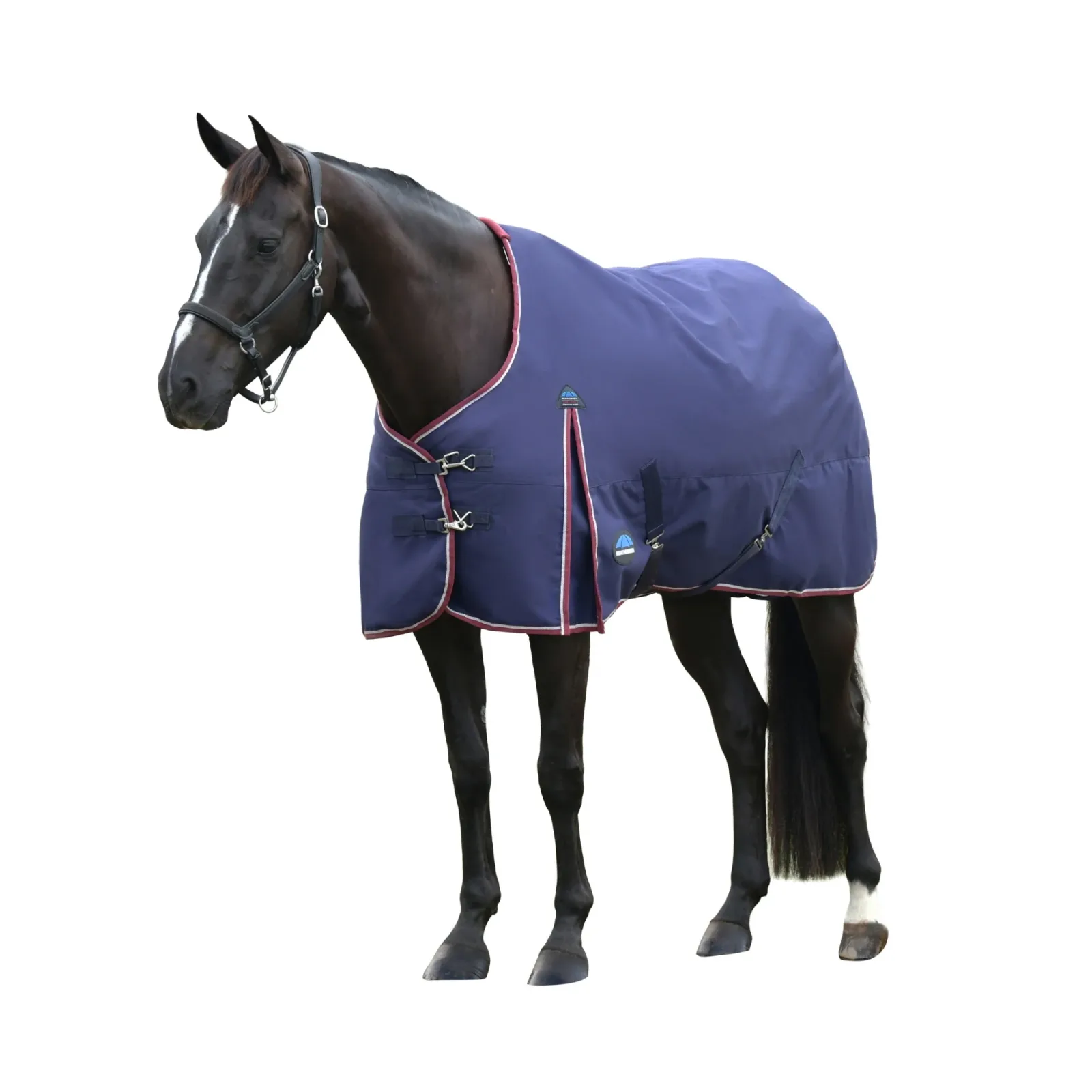 Weatherbeeta ComFiTec Essential Turnout Standard Neck 360g - Image 2
