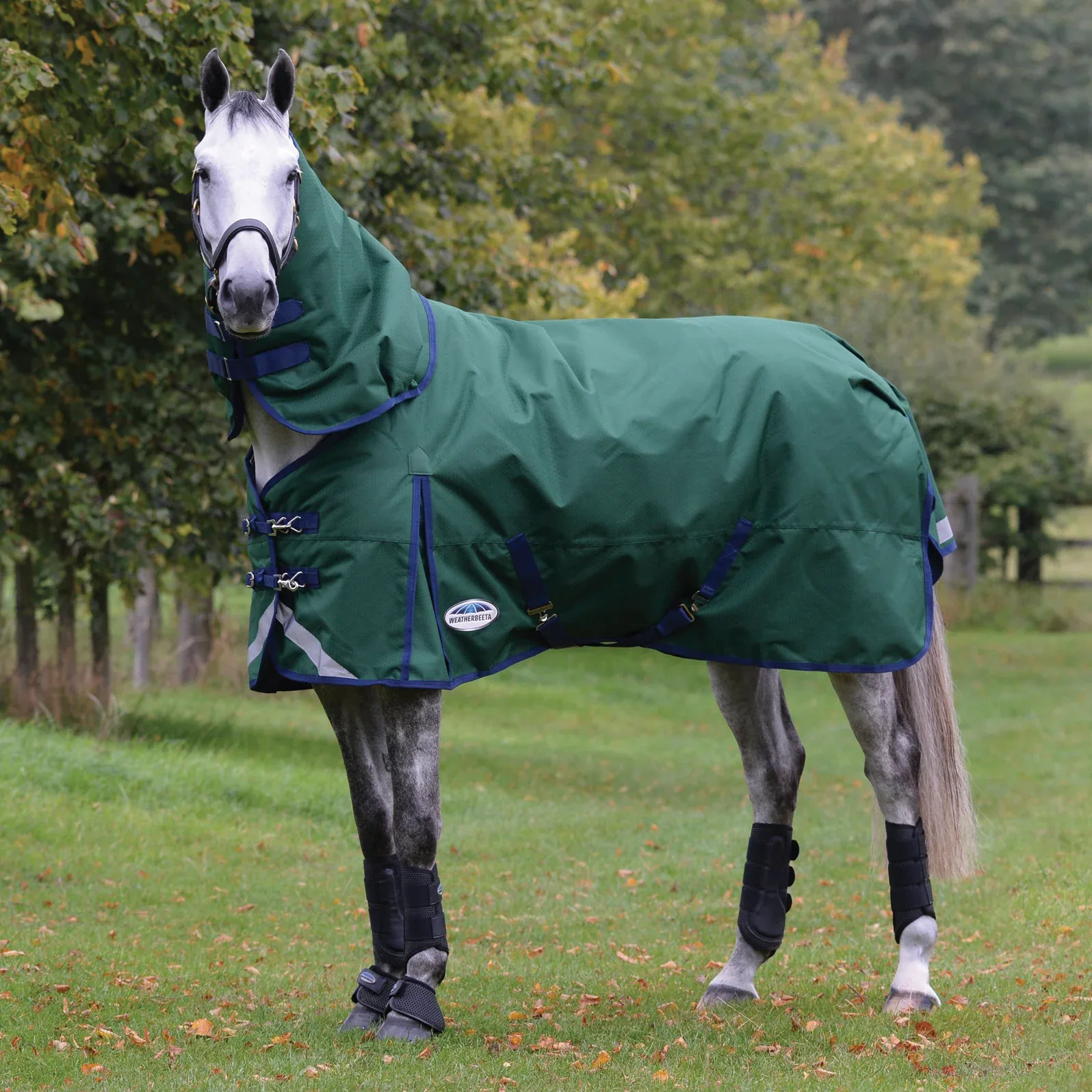 WeatherBeeta® ComFiTec™ Plus Dynamic II Detach-A-Neck Heavyweight Turnout Blanket - Image 2
