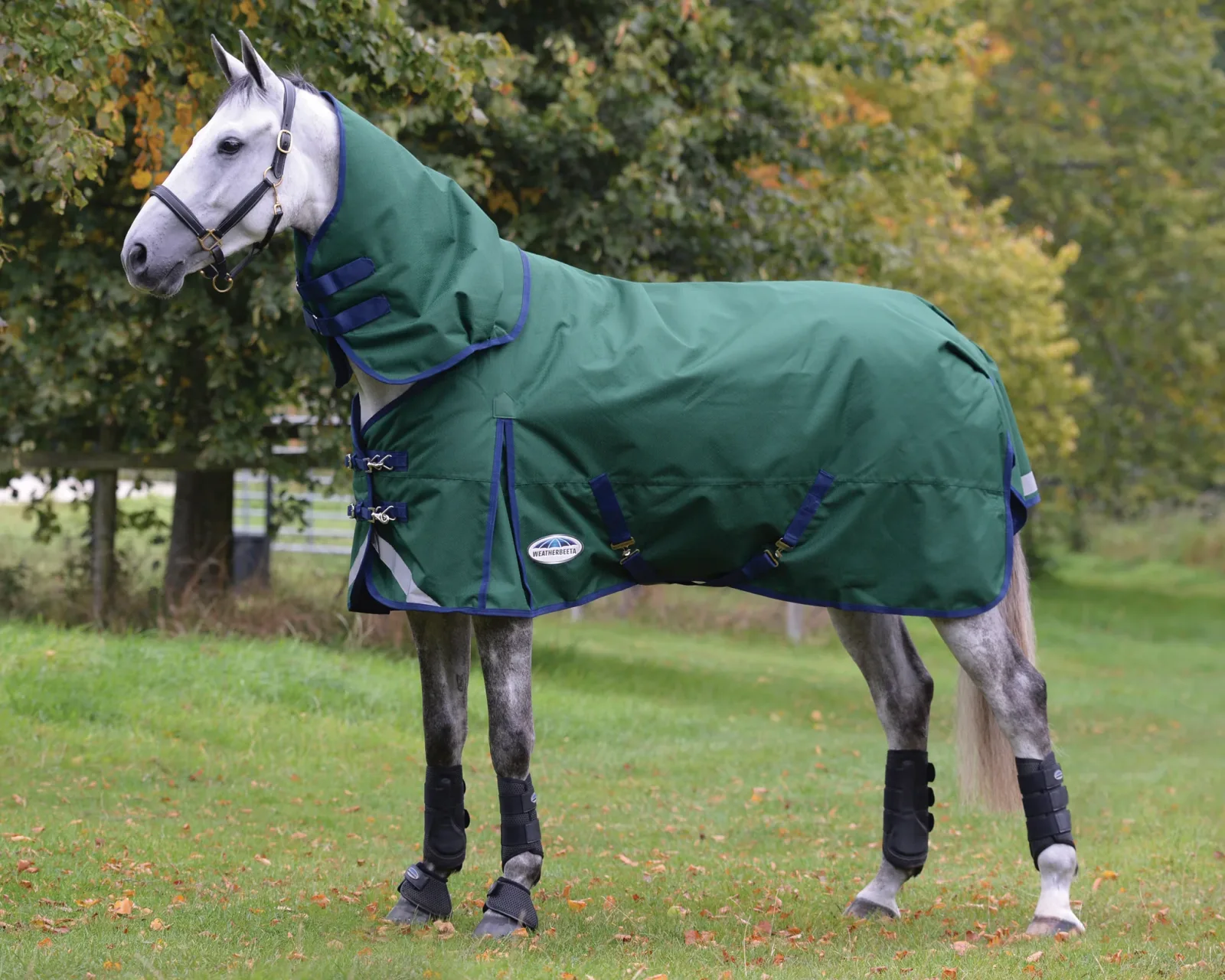WeatherBeeta® ComFiTec™ Plus Dynamic II Detach-A-Neck Heavyweight Turnout Blanket