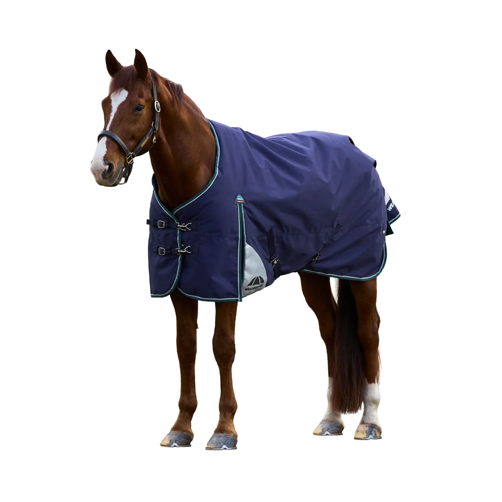 Weatherbeeta ComFiTec Plus Dynamic Turnout Standard Neck 220g - Image 2