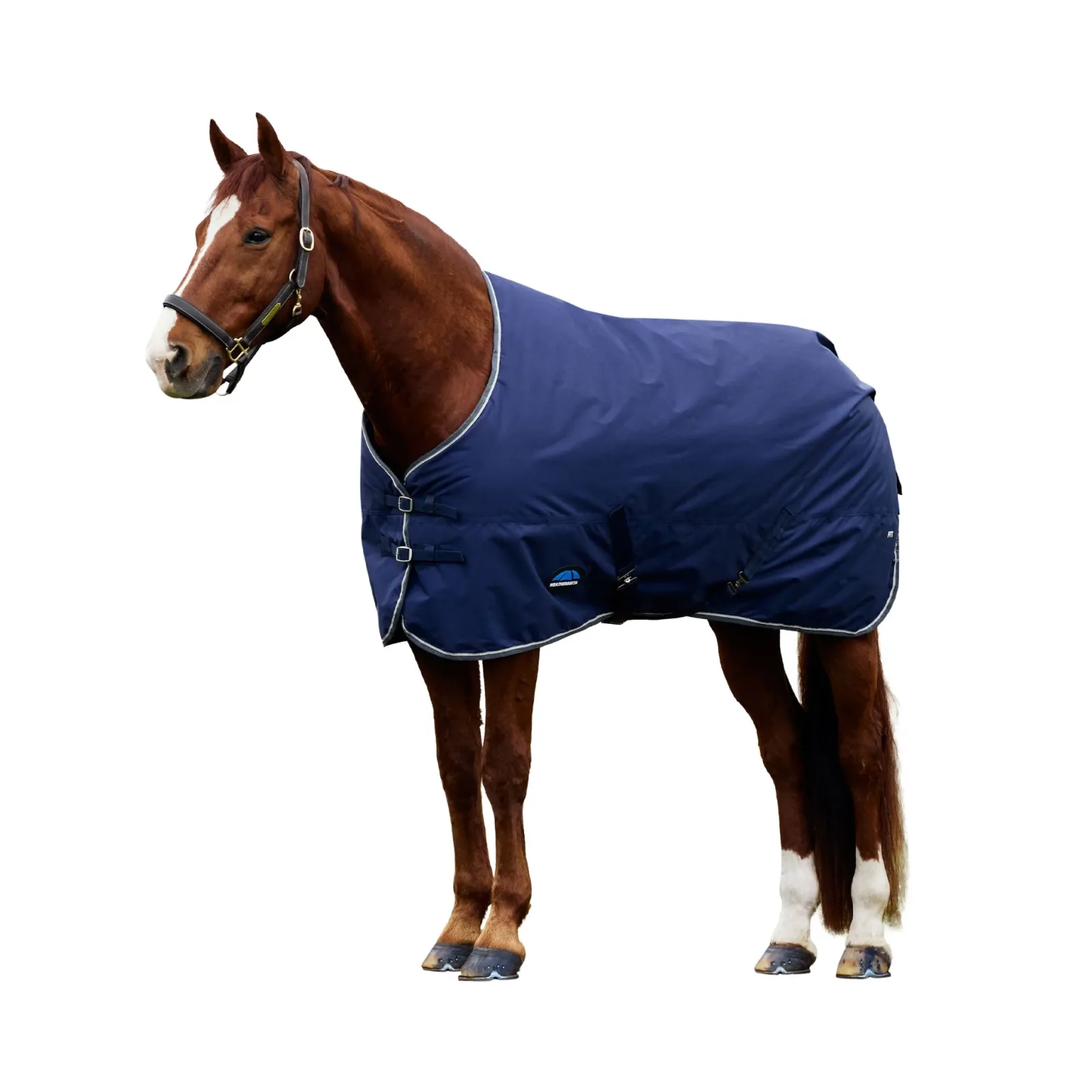 Weatherbeeta ComFiTec Tyro Turnout Standard Neck 220g - Image 2