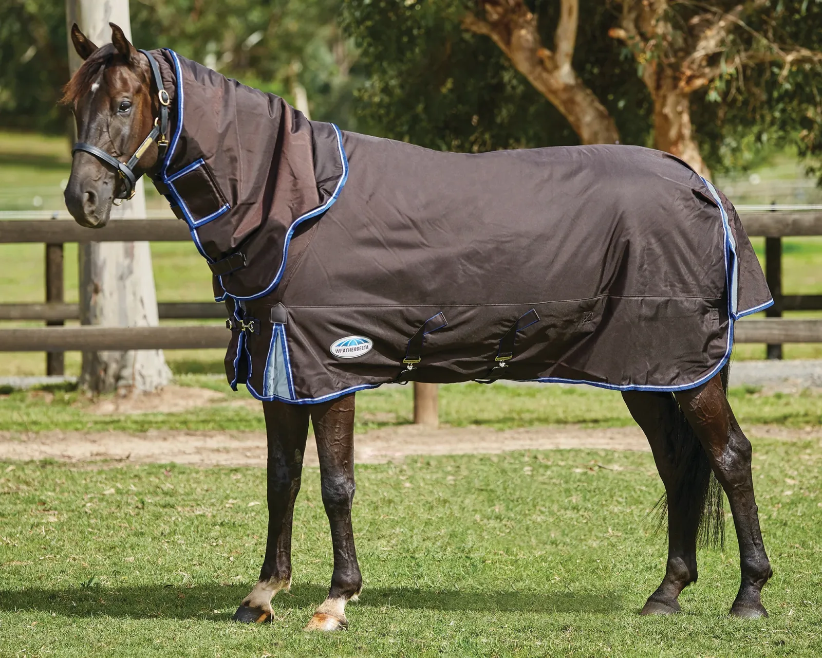 WeatherBeeta® ComFiTec™ Ultra Cozi II Detach-A-Neck Medium-Weight Turnout Blanket - Image 2