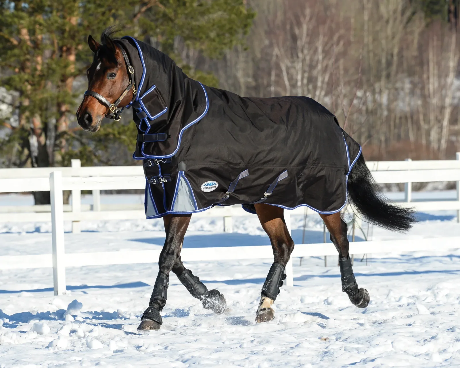 WeatherBeeta® ComFiTec™ Ultra Cozi II Detach-A-Neck Medium-Weight Turnout Blanket