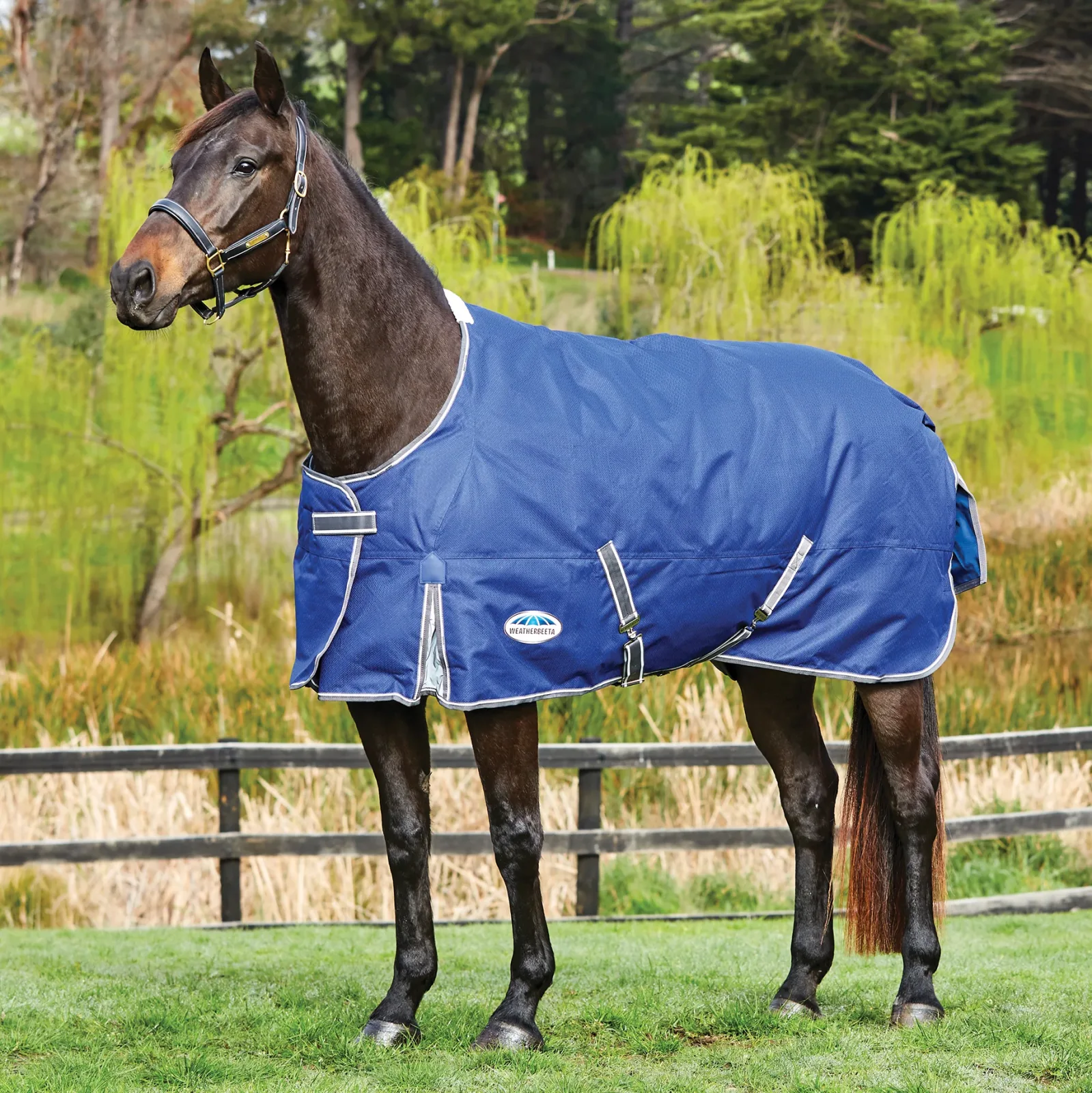 WeatherBeeta® Free Standard Neck Turnout Sheet