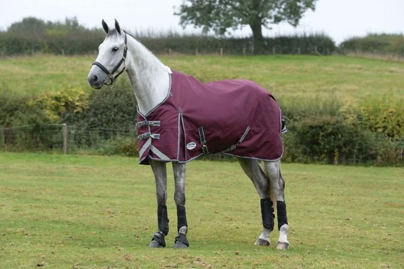 WeatherBeeta Plus Std Neck Medium - Image 2