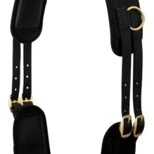 Weaver 10-Ring Neoprene Lined Nylon Surcingle