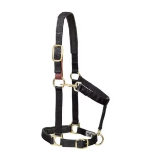 Weaver Breakaway Adjustable Halter