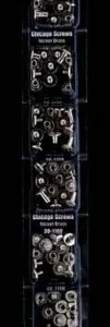 Weaver Leather Merchandising Strip Chicago Screws