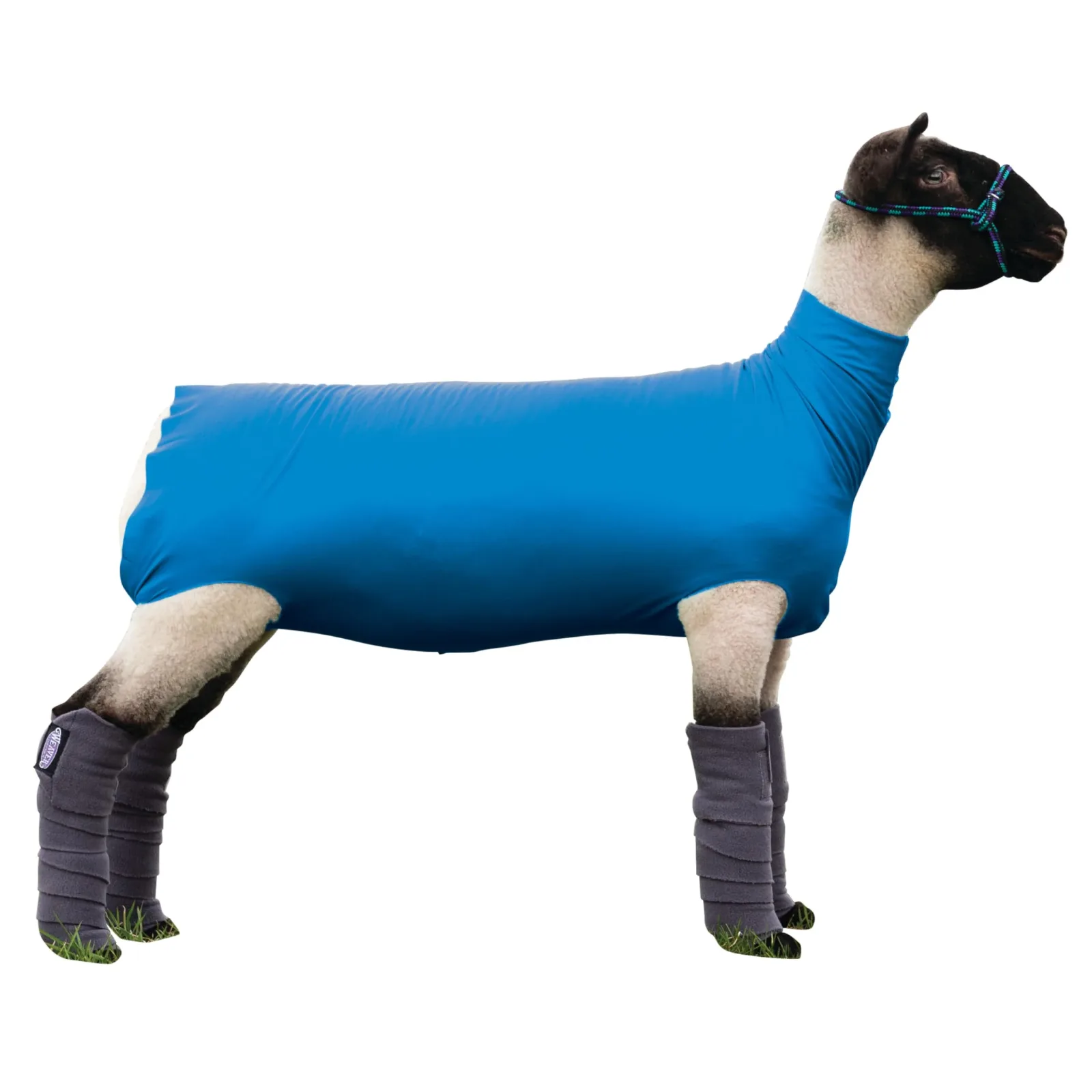 Weaver Livestock Blue Spandex Sheep Tube
