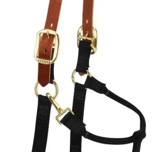 Weaver Org Breakaway Adj Halter