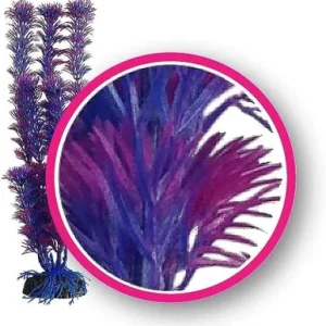 Weco Fuschia Fern 12" Dream Series Wonder Plants