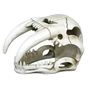 Weco Ornament Sabertooth Skull