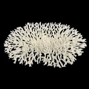 Weco Oval Tabletop Coral White