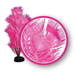 Weco Pink Princess Feather 12" Dream Series Wonder Plants