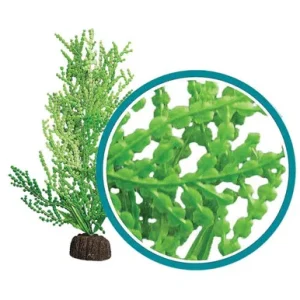 Weco Plant Giant Halimeda 12"
