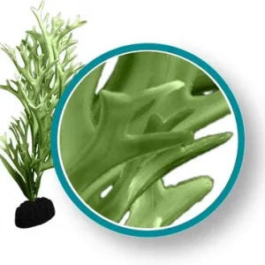Weco Plant Green Giant Kelp 18"