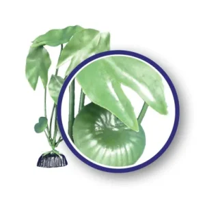 Weco Plant Green Tiger Lotus 18"