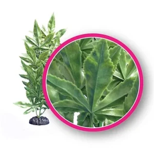 Weco Plant Hash 9" @ Fish Tanks Direct