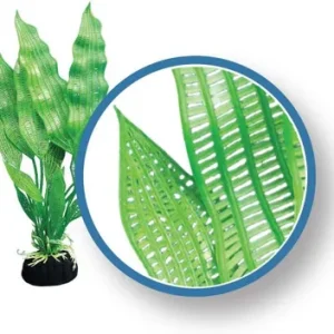 Weco Plant Madagascar Lace 18"
