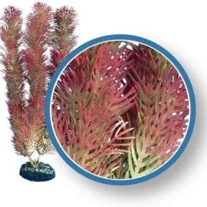 Weco Plant Red Cabomba 12"