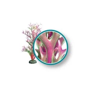 Weco Plant Red Giant Kelp 30" PRO