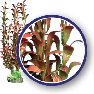 Weco Plant Red Hygrophilia 12"
