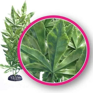 Weco Products Dream Series Hash Aquarium Plant Green, 1ea/9 in