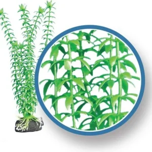 Weco Products Freshwater Pro Series Tonina Aquarium Plant Green, 1ea/18 in