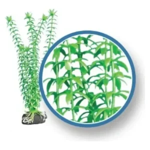 Weco Products Freshwater Pro Series Tonina Aquarium Plant Green, 1ea/9 in