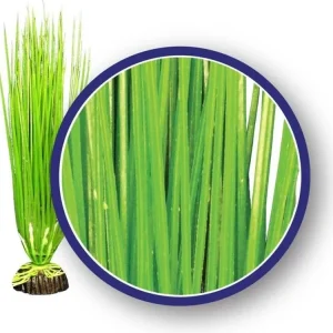 Weco Products Freshwater Series Asian Hairgrass Aquarium Plant Green, 1ea/6 in