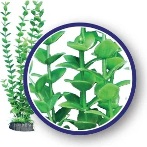 Weco Products Freshwater Series Bacopa Aquarium Plant Green, 1ea/12 in