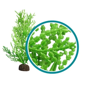Weco Products Marine Pro Series Giant Halimeda Aquarium Plant Green, 6 in