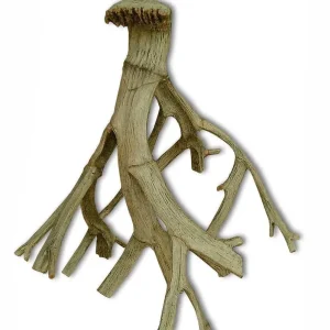 Weco Wecorama Aquarama Bone Root Brown SM