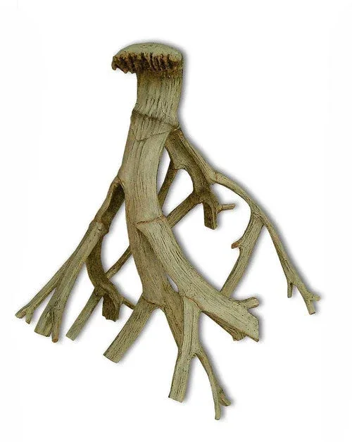 Weco Wecorama Aquarama Bone Root Brown SM - Image 2
