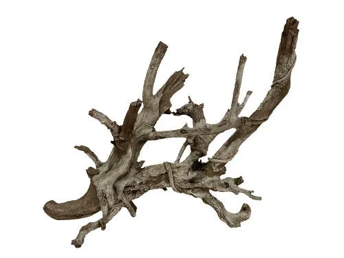 Weco Wecorama Aquarama Wicked Branch Show Grey, Brown - Image 2