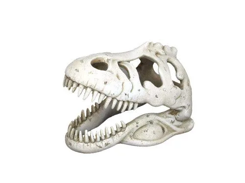 Weco Wecorama Catacombs T-REX Skull Aquarium Ornament White - Image 2