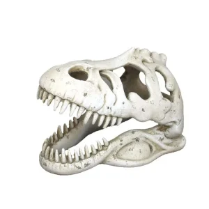 Weco Wecorama Catacombs T-REX Skull Aquarium Ornament White