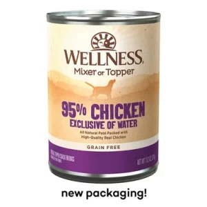 Wellness Ninety
