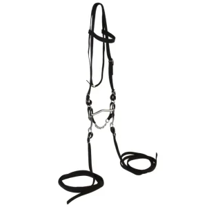 Western Poly Browband Headstall Set with Reins