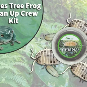 White's Tree Frog Clean Up Crew Pack FREE SHIPPING